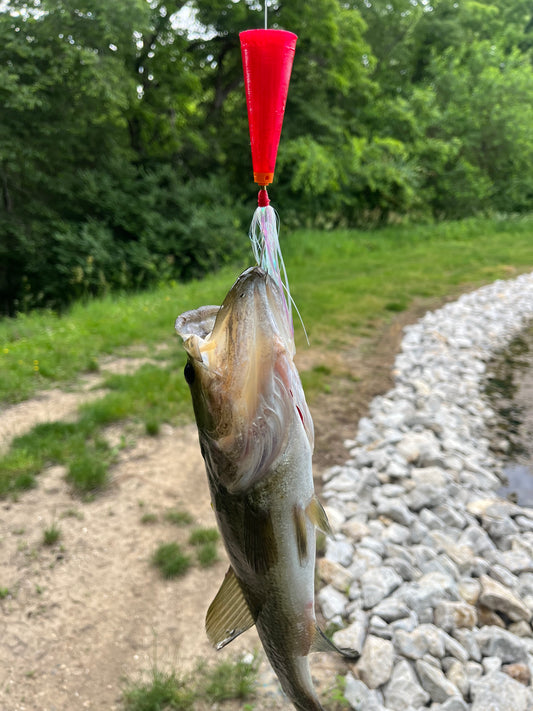 Fishing lure attached to a fish caught on a riverbank with trees in the background