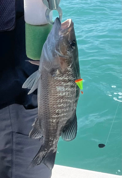 RoKit+ Bite Booster Float | Fish Attractor